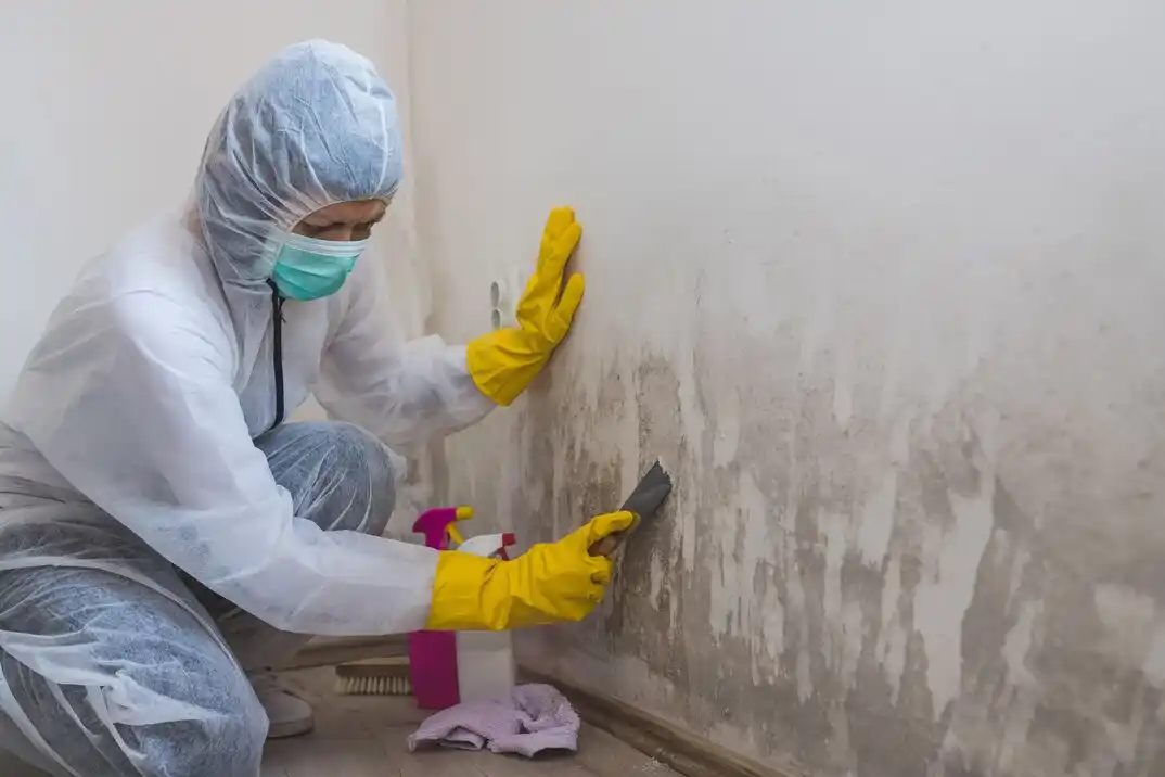 water damage restoration service Haynie-Sirrine